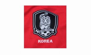韩国审计委员会委员长：将核查委员会是否存在掩盖性贿赂丑闻行为