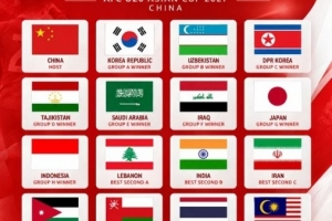 马德兴：越南队确定连续两届无缘亚青赛，与错信日本教练不无关系