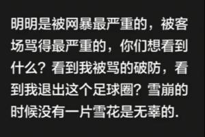 韦世豪：你们想看什么？看到我破防？雪崩时没有一片雪花是无辜的