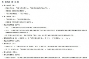 中国足协发布新《中国足球协会纪律与道德准则》